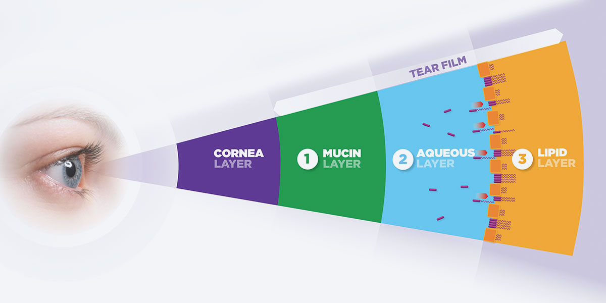 Each layer of tear film has distinctive functions